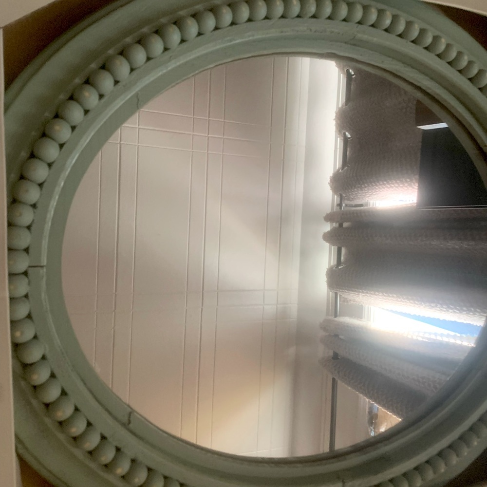 Bee & Willow 20-Inch x 24-Inch Oval Wall Mirror